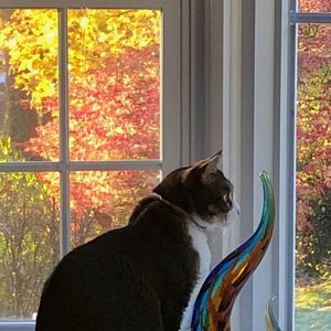 Meet your Posher, Jaime